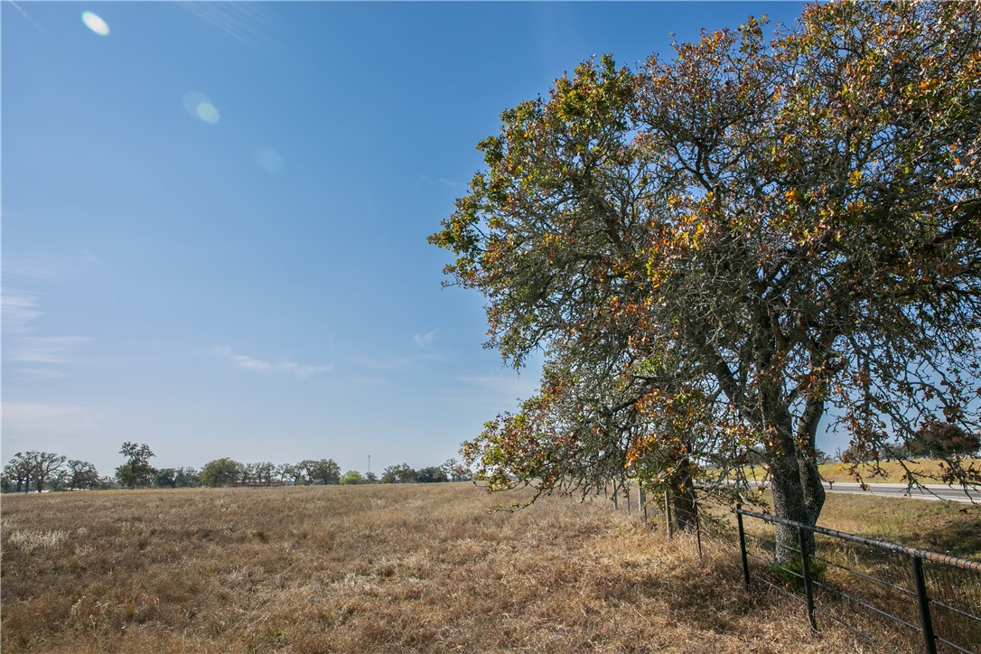 View of local wilderness with rural landscape