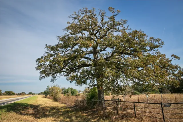 $1,100,000 | 4254 FM 180 Road, Ledbetter, TX 78946