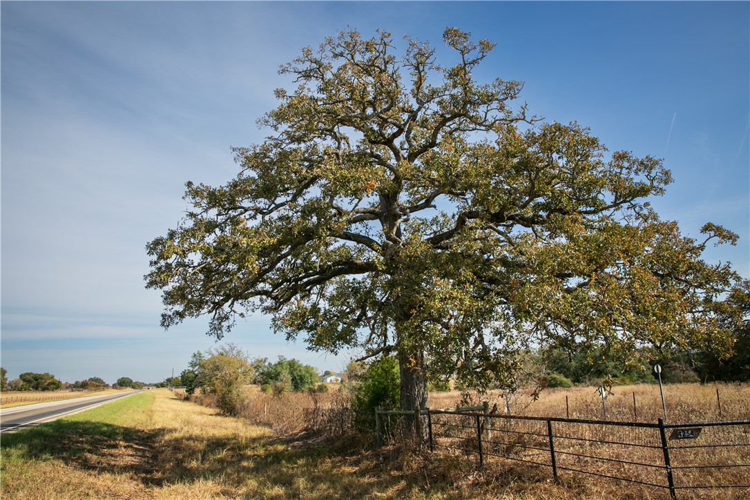4254 FM 180 Road Ledbetter, TX 78946 - Photo 2 of 11 View of yard with a view of rural / pastoral area