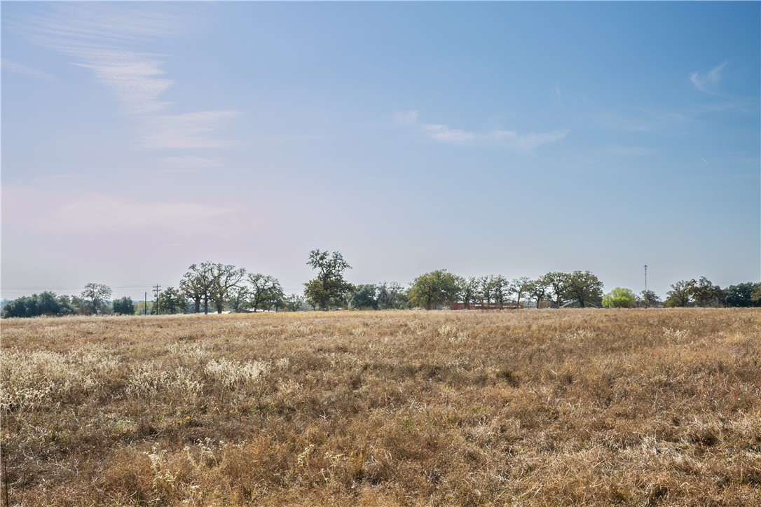 4254 FM 180 Road Ledbetter, TX 78946 - Photo 3 of 11 View of undeveloped land with rural landscape