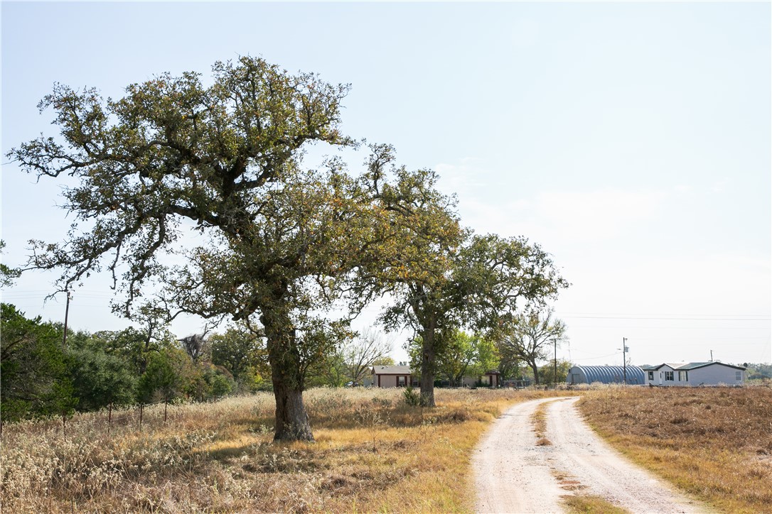 4254 FM 180 Road Ledbetter, TX 78946 - Photo 5 of 11 View of dirt / gravel driveway