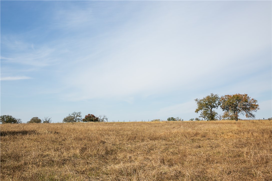 4254 FM 180 Road Ledbetter, TX 78946 - Photo 7 of 11 View of nature featuring rural landscape