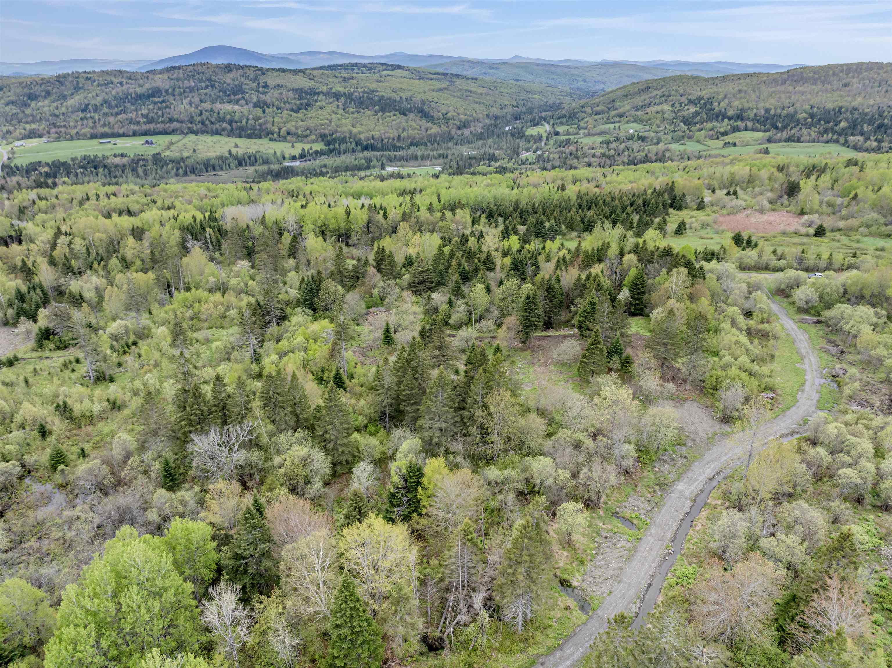 Lot 8 Holden Hill Road Stewartstown, NH 03576 - Photo 8 of 12