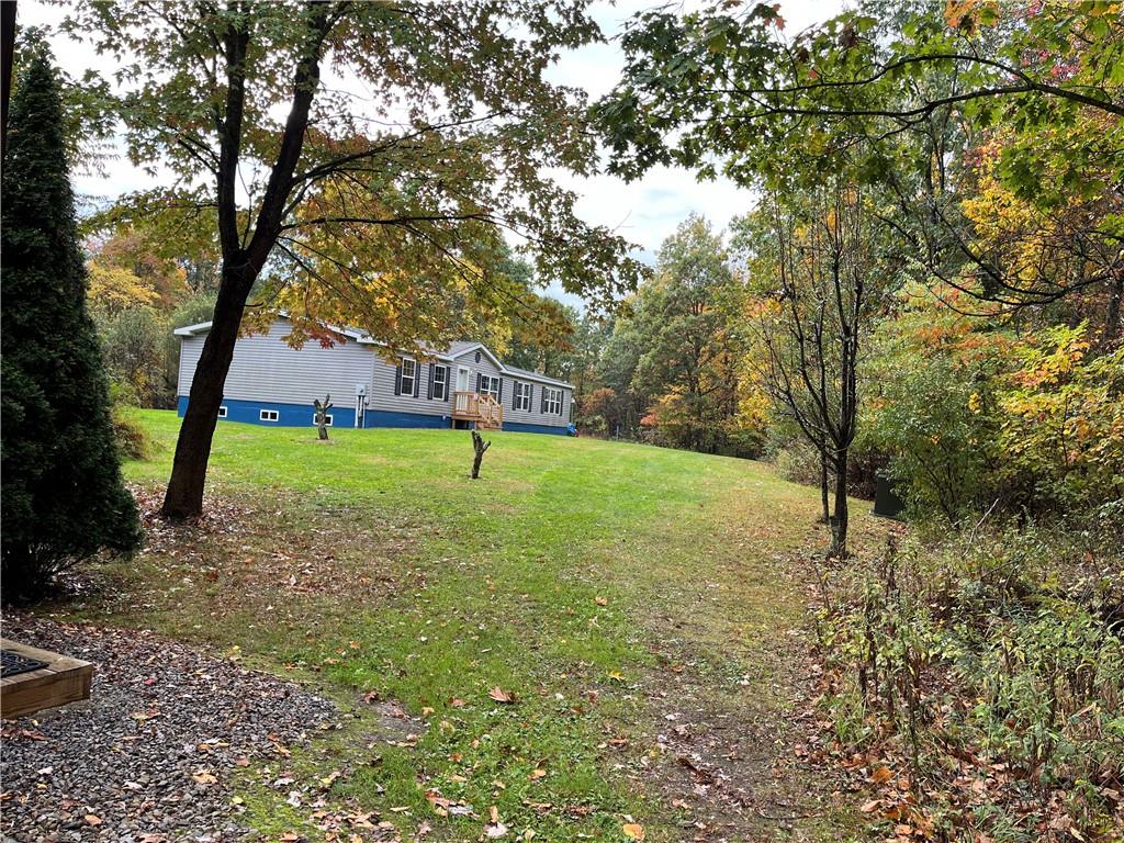 a view of a backyard with large trees