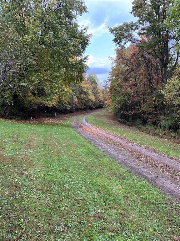 319 Farm Road New Bethlehem, PA 16242 - Photo 7 of 12 a view of a yard with swimming pool