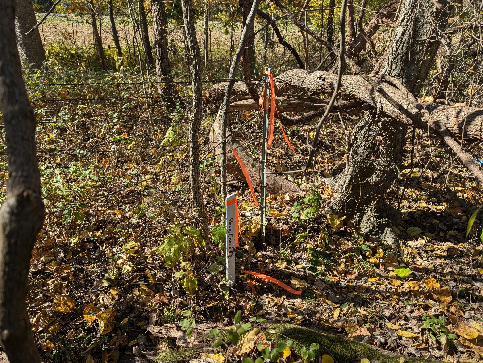 0 Mayo Road Clarksville, TN 37043 - Photo 5 of 5