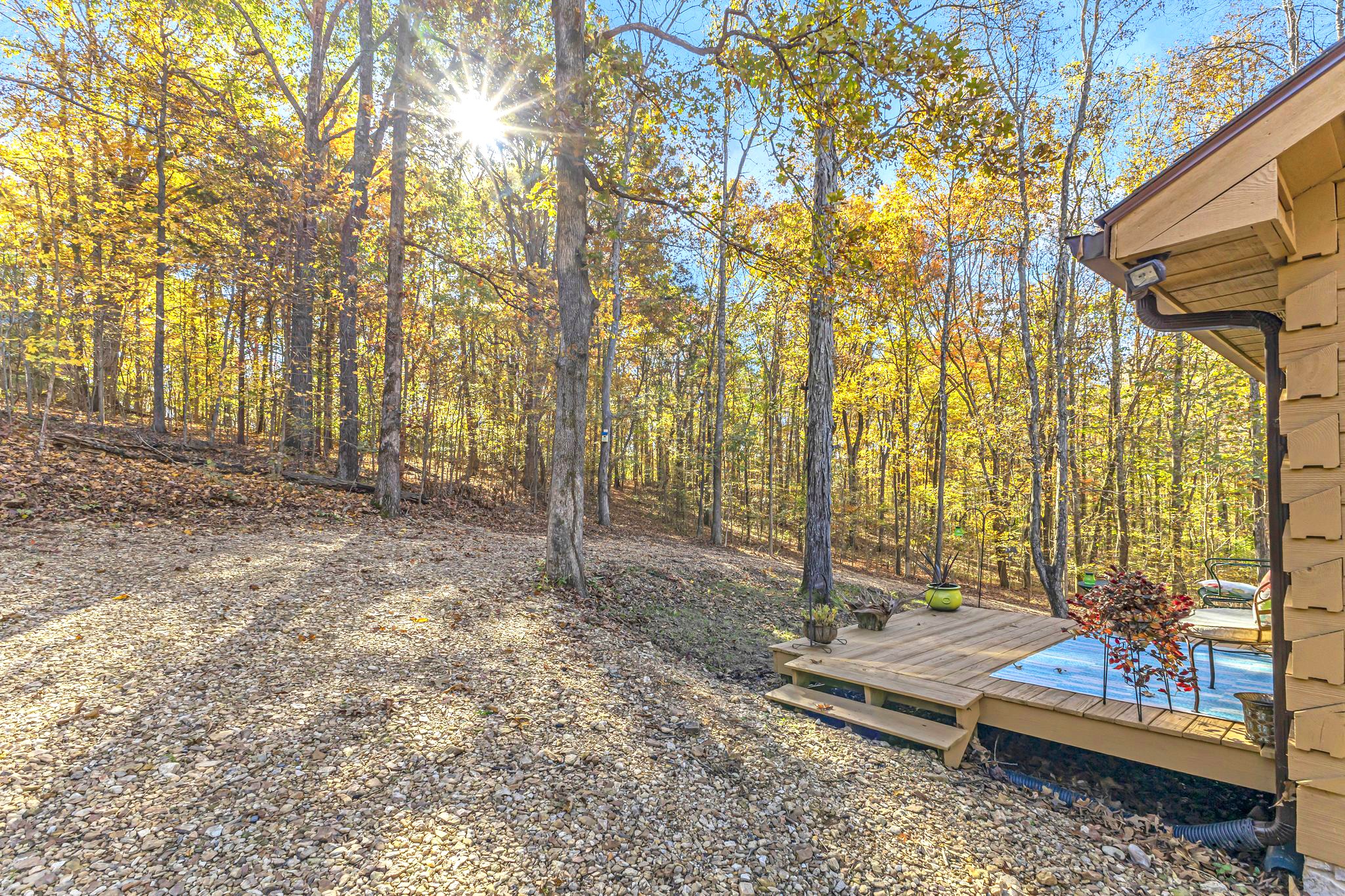 5833 Dewey Carr Road Bethpage, TN 37022 - Photo 44 of 60 a view of a bench in the backyard