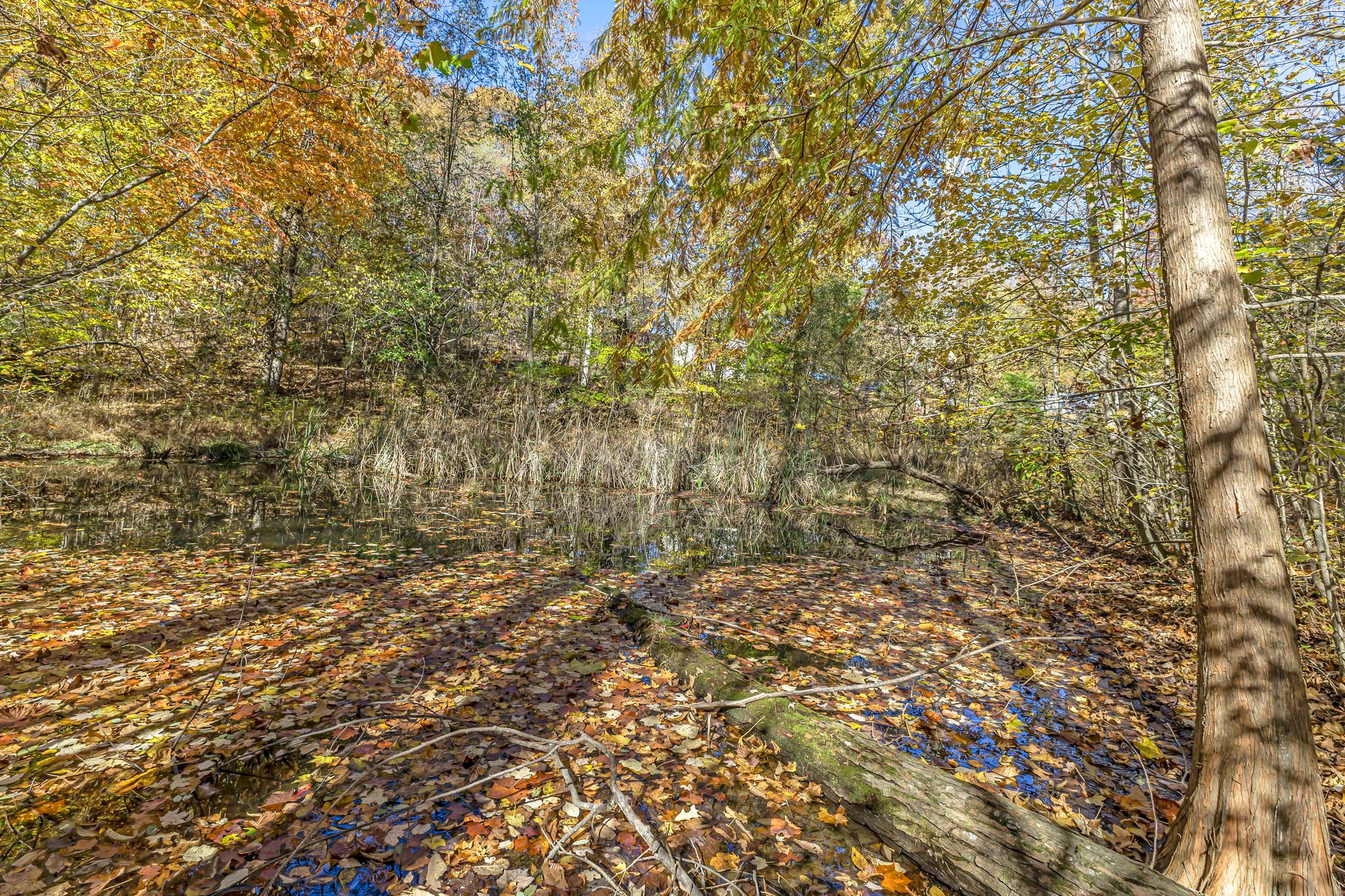 5833 Dewey Carr Road Bethpage, TN 37022 - Photo 50 of 60 a view of a yard with a tree