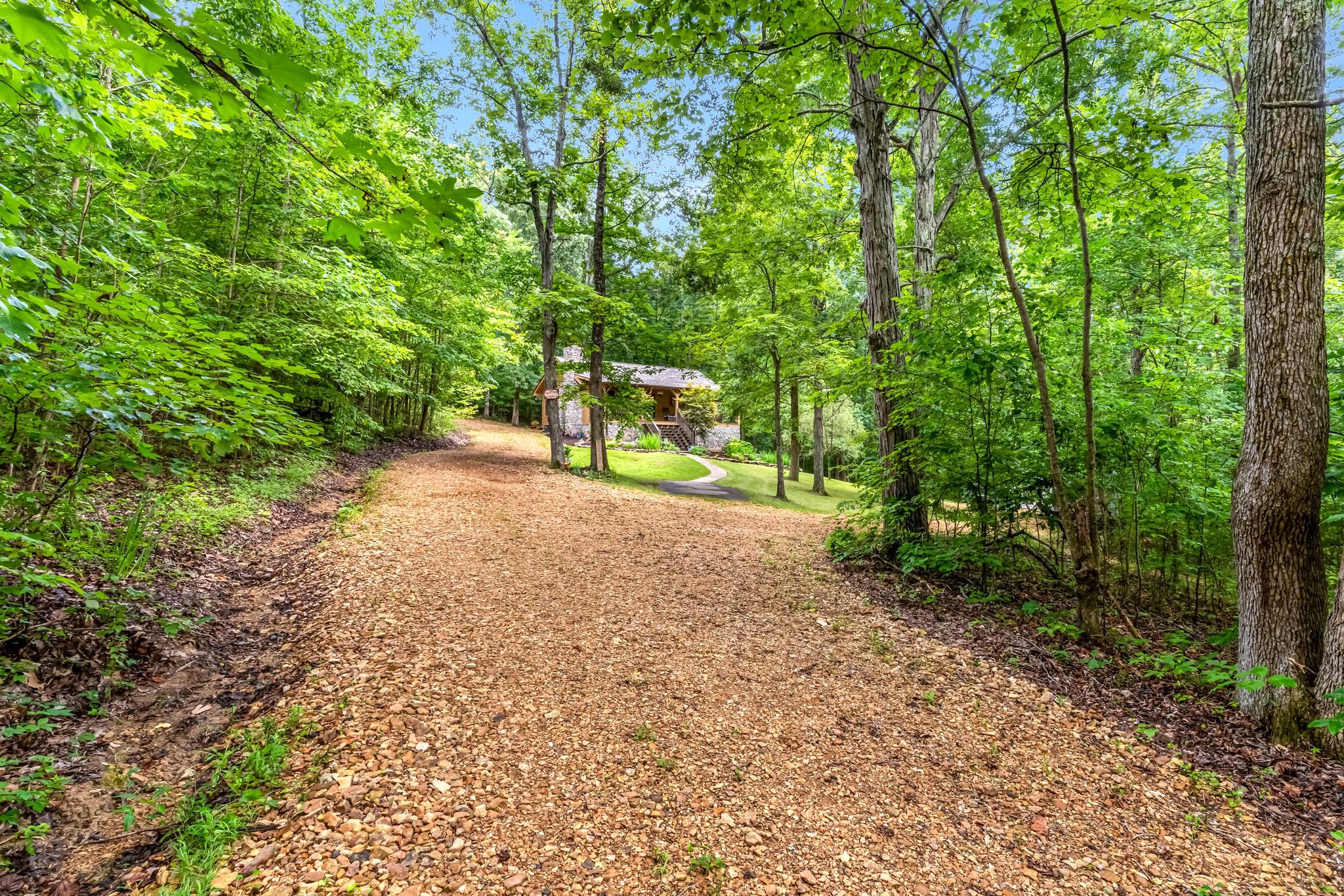 5833 Dewey Carr Road Bethpage, TN 37022 - Photo 58 of 60 a view of a forest with trees