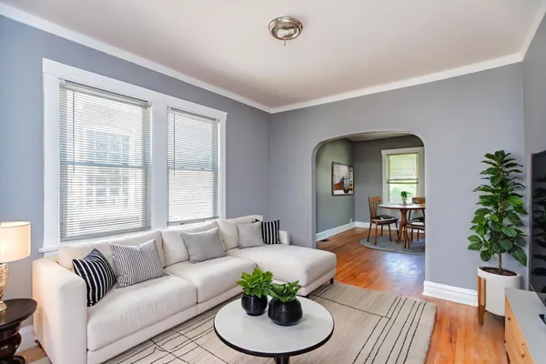 a living room with furniture potted plant and window