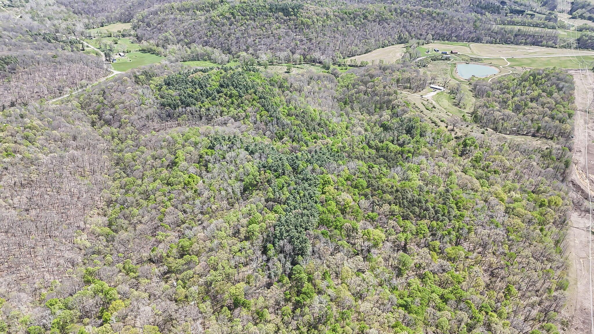 30083 Goosecreek Road McArthur, OH 45651 - Photo 12 of 29 12-web-or-mls-DJI_20260422013037_0052_D