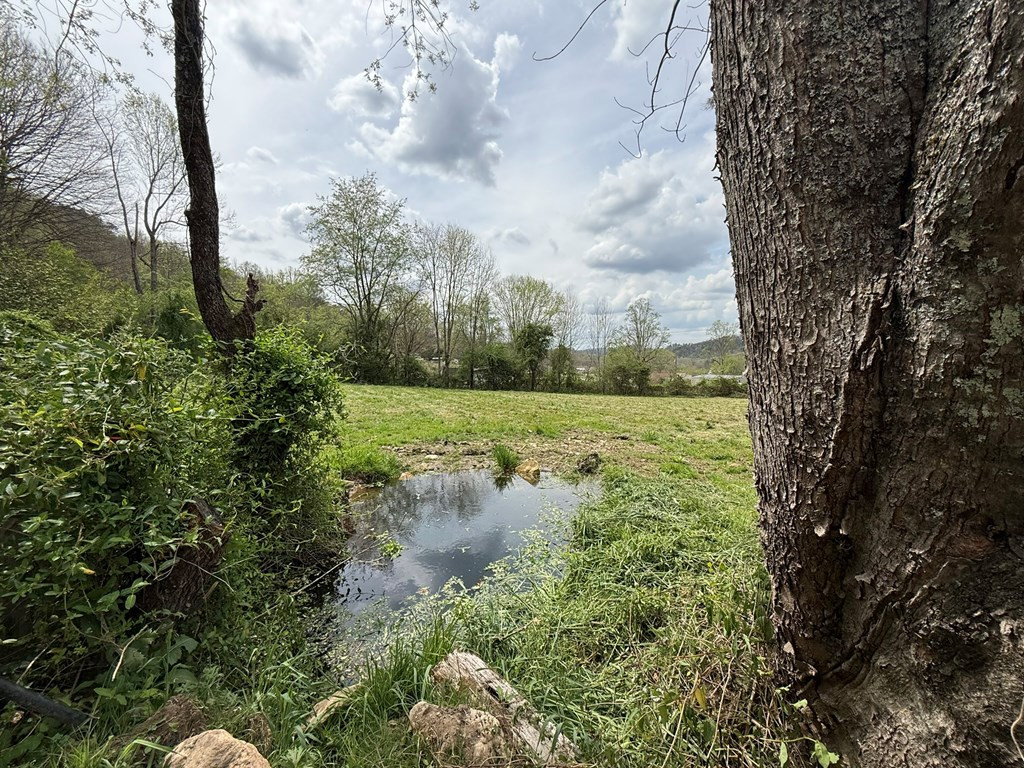317 Robinson Road Andrews, NC 28901 - Photo 9 of 10