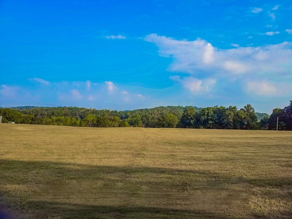 143 Tranquility Ridge Drive Newport, TN 37821 - Photo 19 of 21 Gallery Image 19