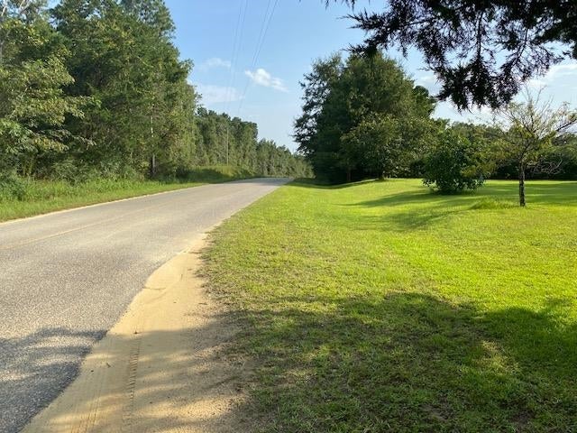 24289 Swamp Road Red Level, AL 36474 - Photo 13 of 20 Gallery Image 13