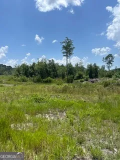 a view of a big yard with lots of green space