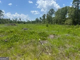 a view of a big yard with large trees