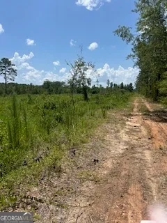 a view of a lake from a yard