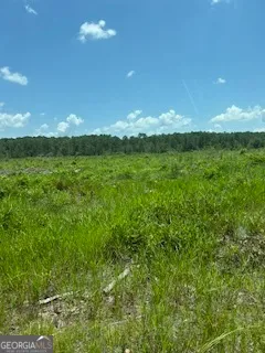a view of a big yard