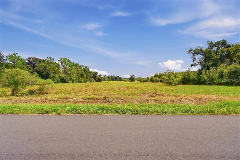 2929 Al Simmons Road Dover, FL 33527 - Photo 14 of 30 Gallery Image 14