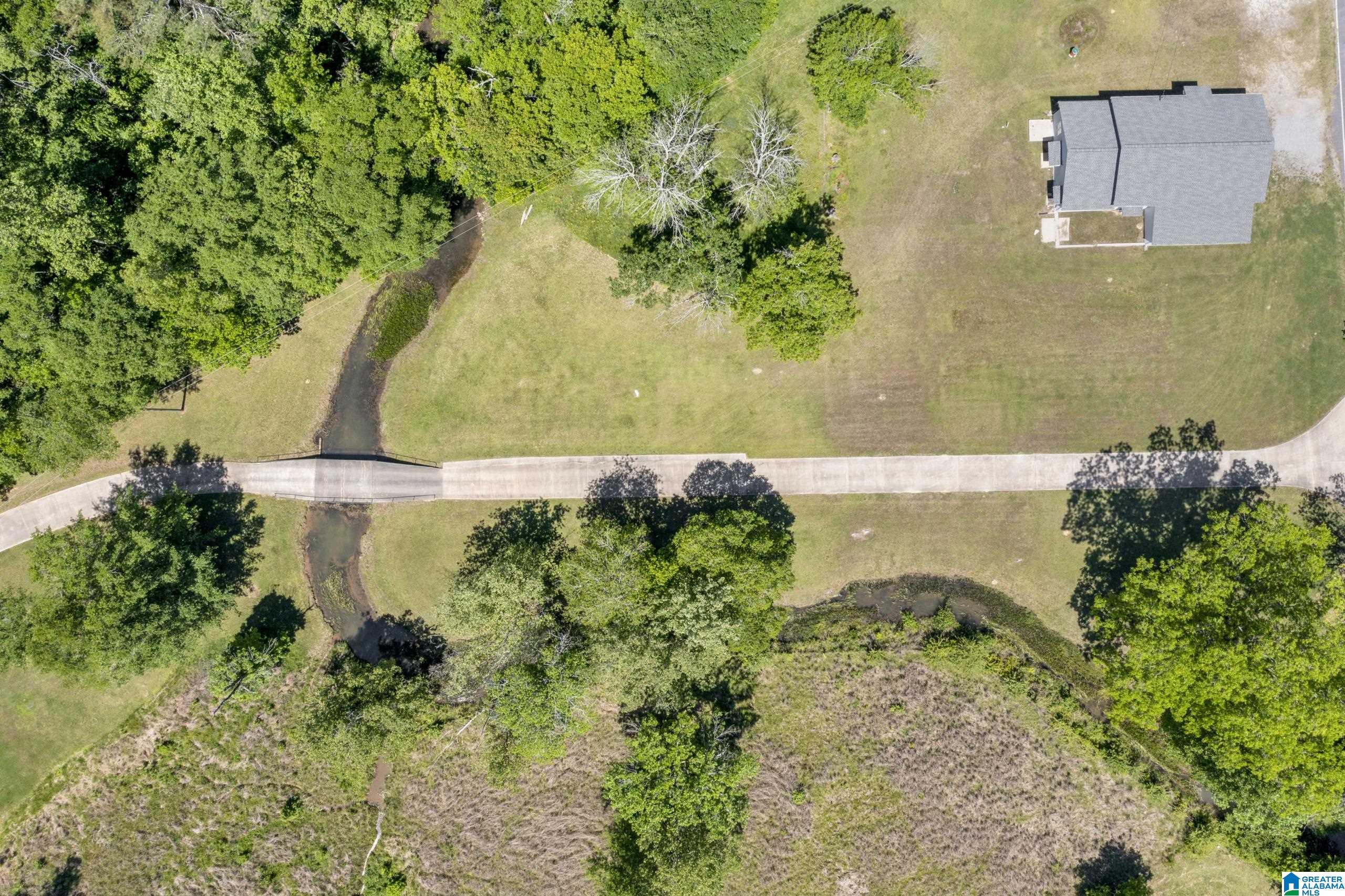 466 Seven Springs Road Wellington, AL 36279 - Photo 58 of 62