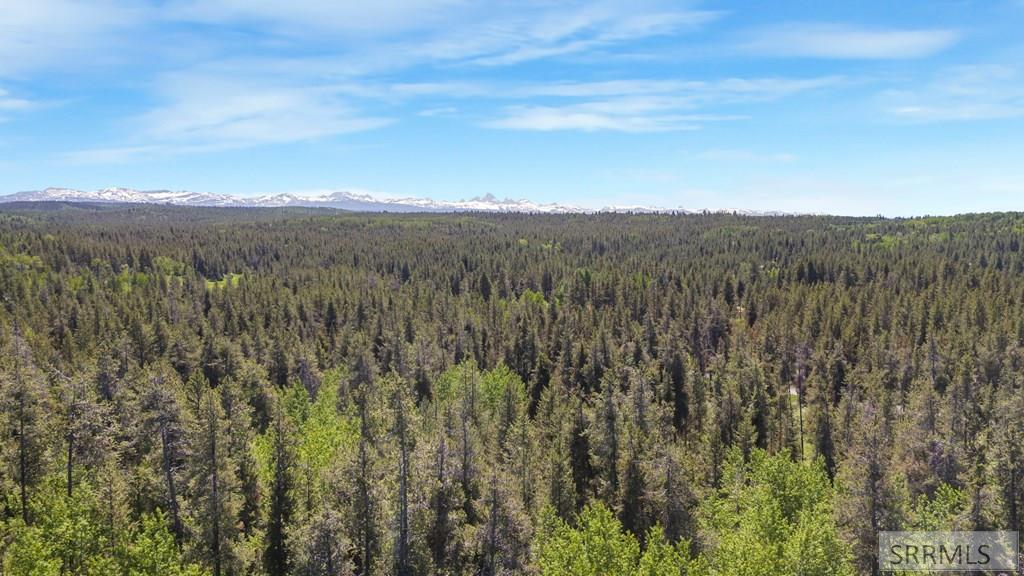 4585 East 1400 Road North Ashton, ID 83420 - Photo 16 of 20