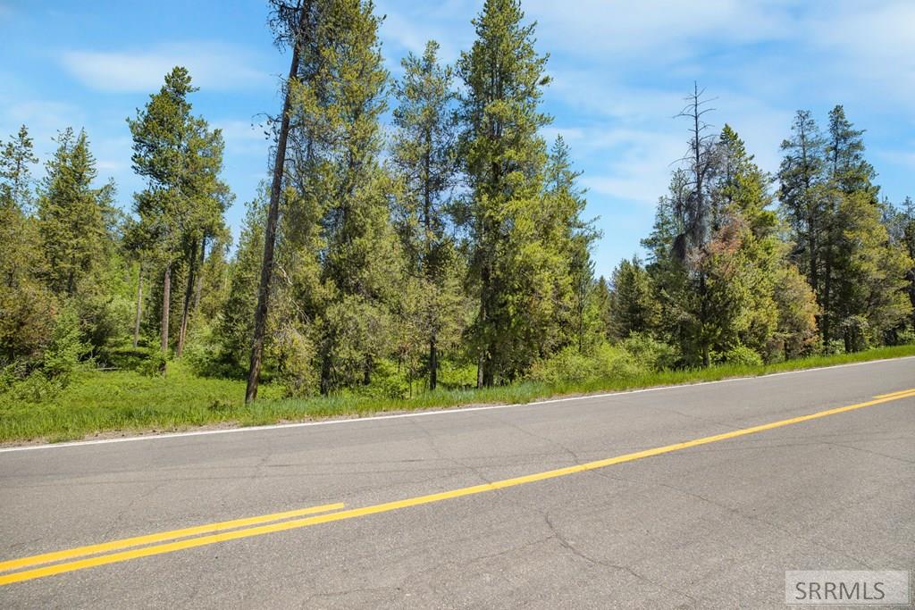 4585 East 1400 Road North Ashton, ID 83420 - Photo 8 of 20