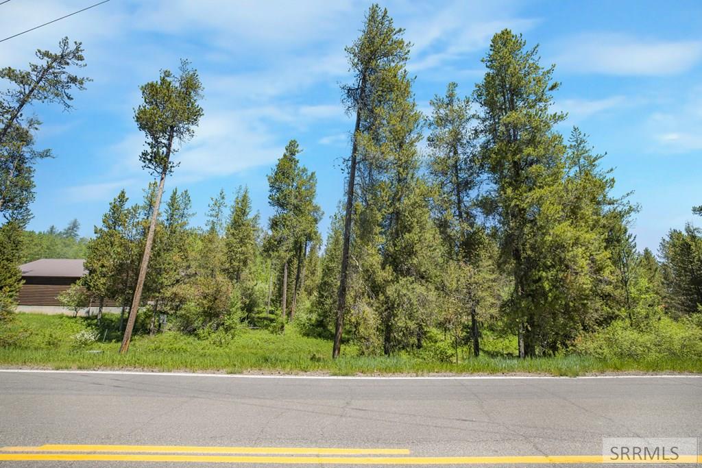 4585 East 1400 Road North Ashton, ID 83420 - Photo 9 of 20