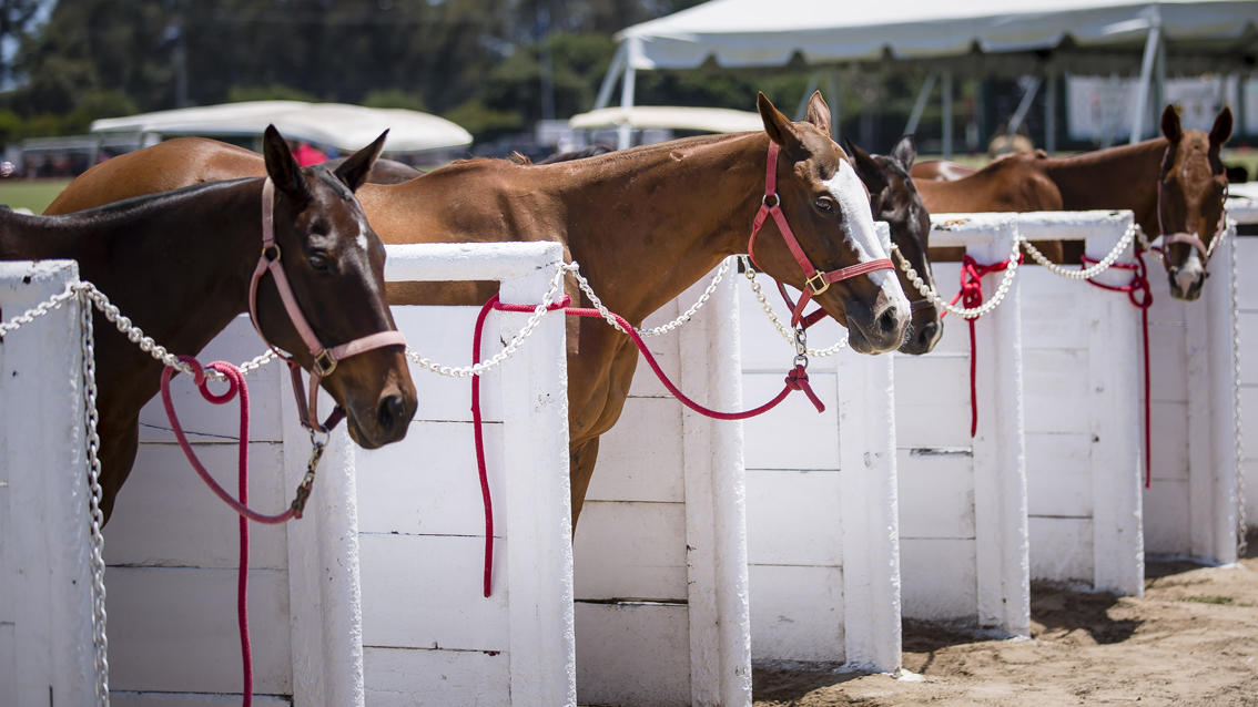 3375 Foothill Road, Unit 213 Carpinteria, CA 93013 - Photo 22 of 25 a utility room with dryer and washer