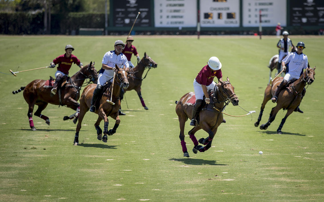 3375 Foothill Road, Unit 213 Carpinteria, CA 93013 - Photo 23 of 25 a view of swimming pool with a slide