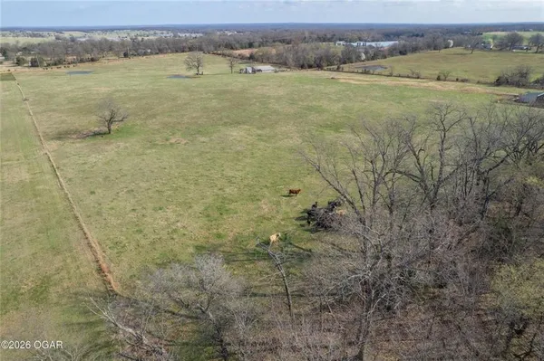 $160,000 | 19-acres Holly Road, South West City, MO 64863