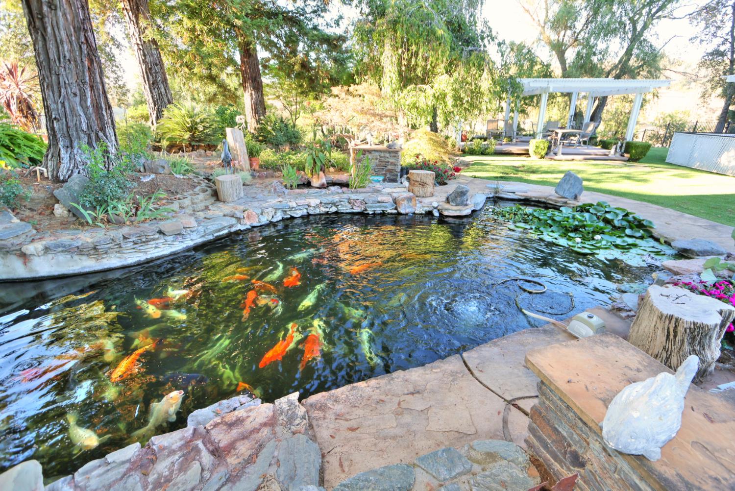 6000 Salmon Falls Road Pilot Hill, CA 95664 - Photo 63 of 98 Gallery Image 63