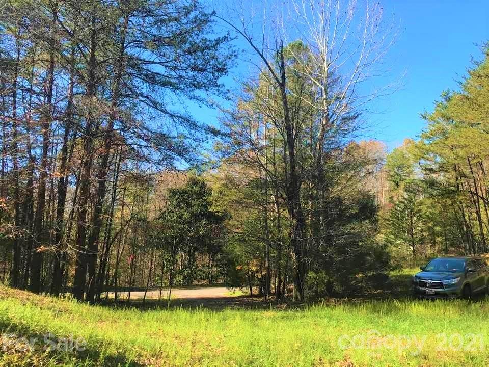 0 Pointe Ln Mill Spring, Unit 8 Mill Spring, NC 28756 - Photo 6 of 19 a view of a backyard