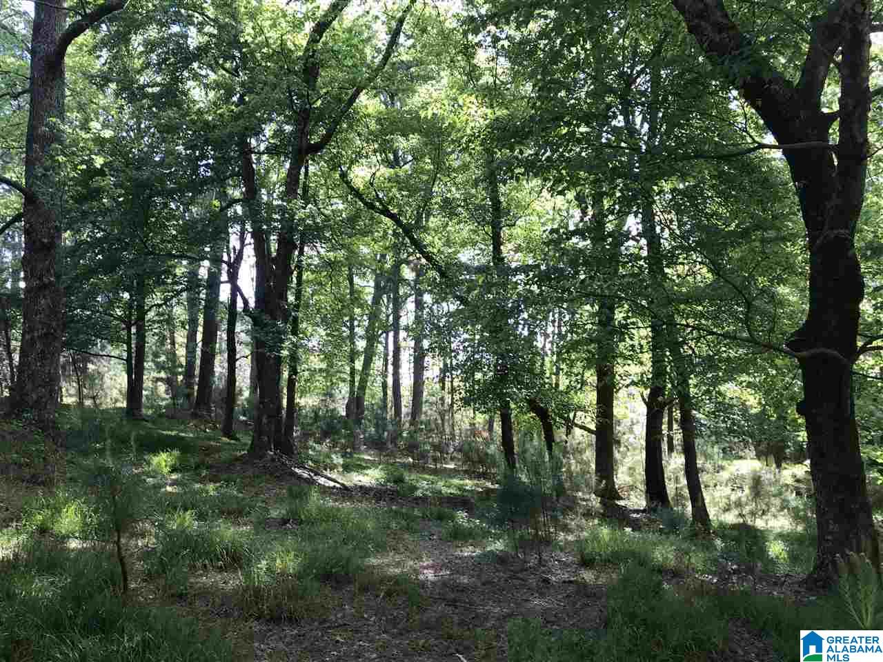 0 Steele Gap Road North, Unit 11 4 Steele, AL 35987 - Photo 11 of 26