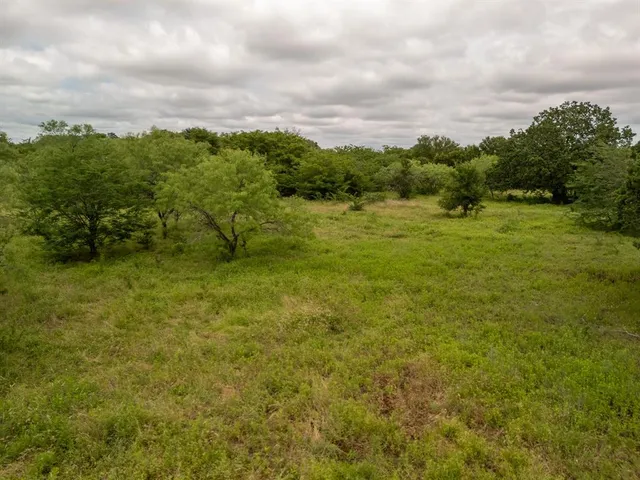 a view of a green field with lots of bushes