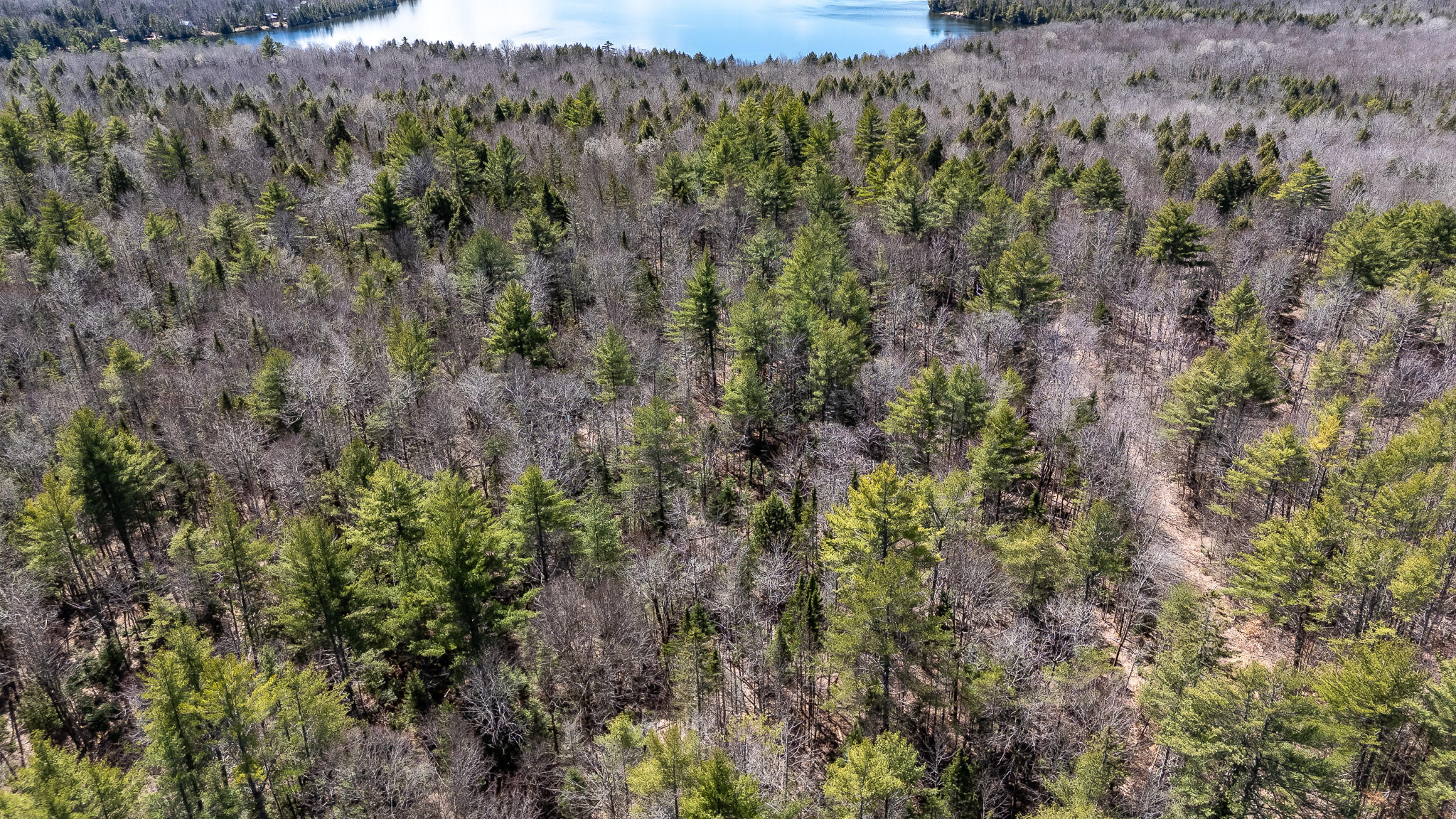 0 Bearce Road Sangerville, ME 04479 - Photo 29 of 50 DJI_20260417125446_0108_D