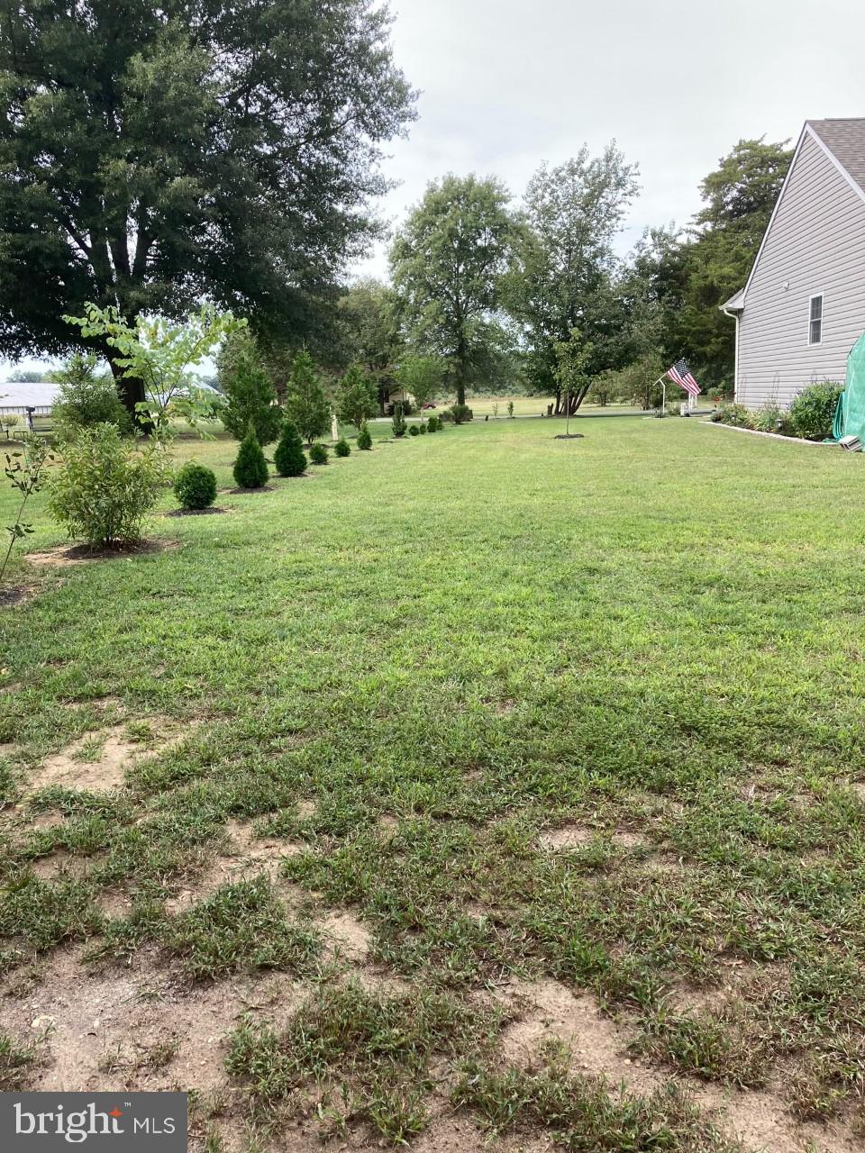 724 Deep Landing Road Chestertown, MD 21620 - Photo 25 of 63 Perimiter trees planted
