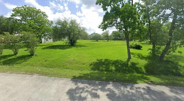 a view of a park with large trees