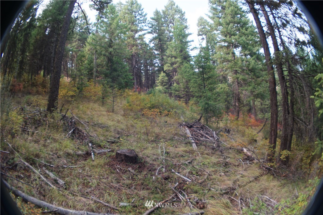 173 Wellman Road Republic, WA 99166 - Photo 16 of 22