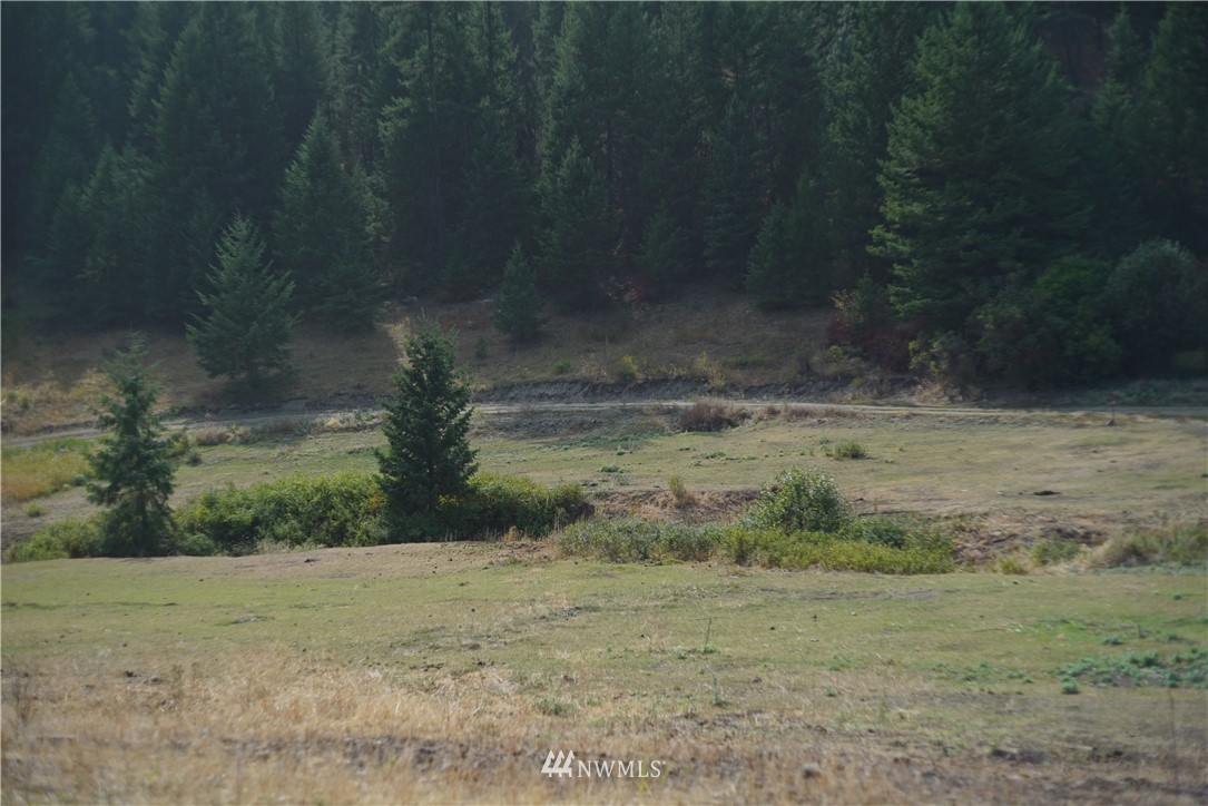 173 Wellman Road Republic, WA 99166 - Photo 4 of 22