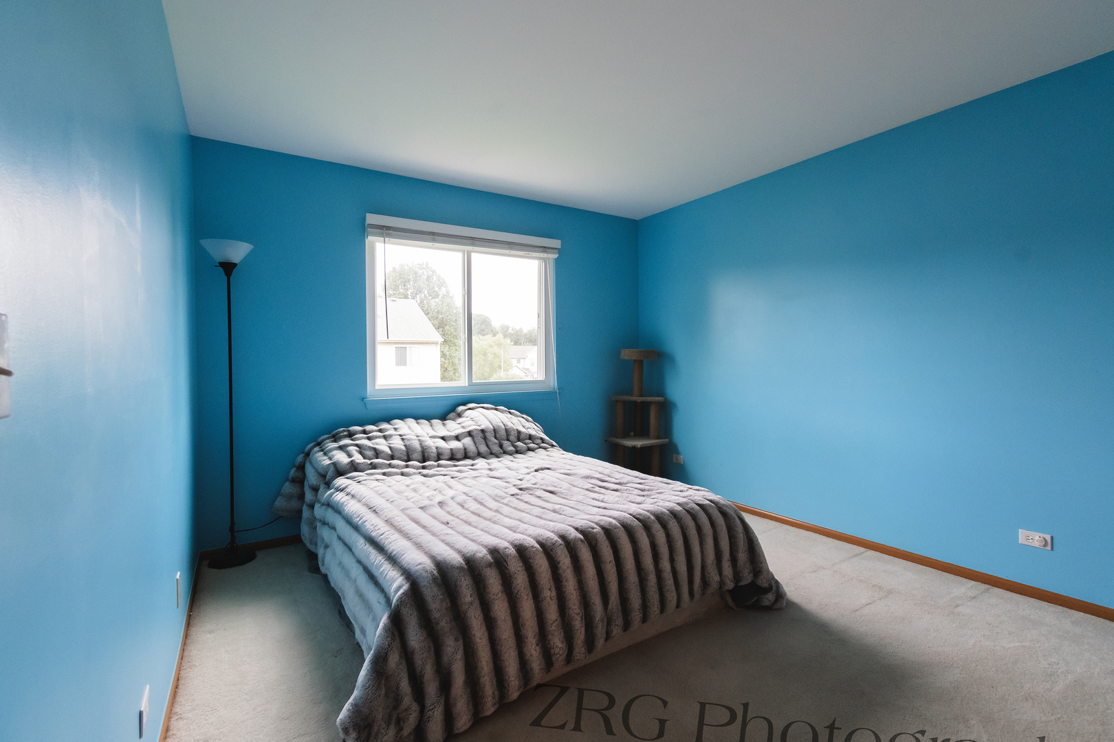 25518 Foxtail Road Round Lake, IL 60073 - Photo 9 of 43