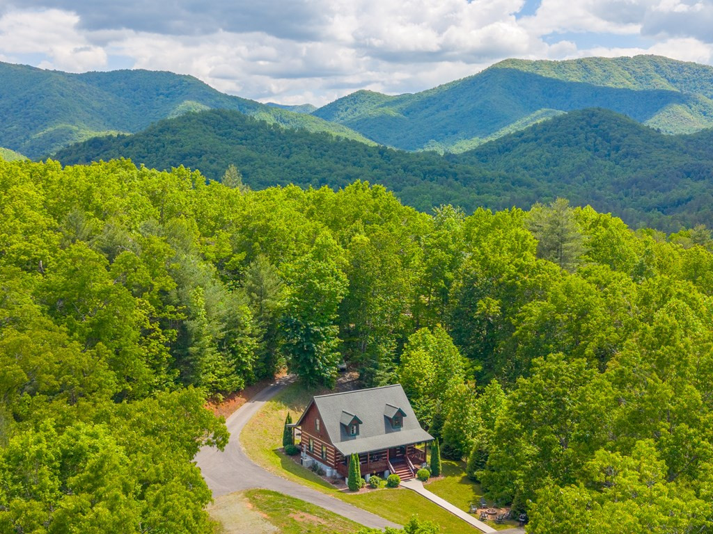 468 Old Yellow Branch Road Robbinsville, NC 28771 - Photo 58 of 60