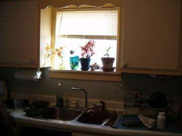 302 Krelo Road Elkville, IL 62932 - Photo 5 of 5 Gallery Image 5