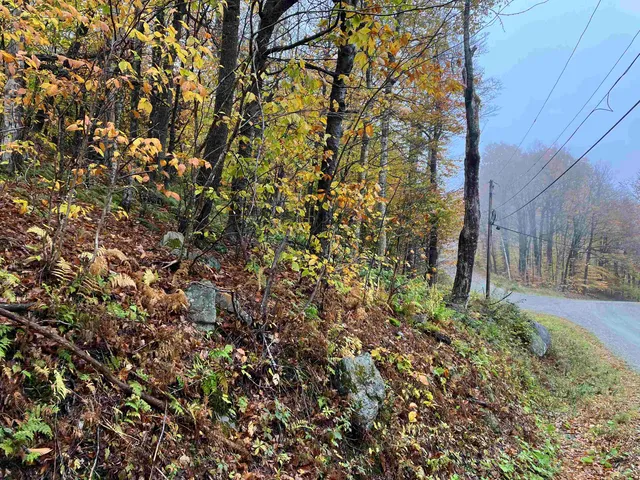 $50,000 | 564 Upper Dam Road, Unit M564 & M565, Wilmington, VT 05363