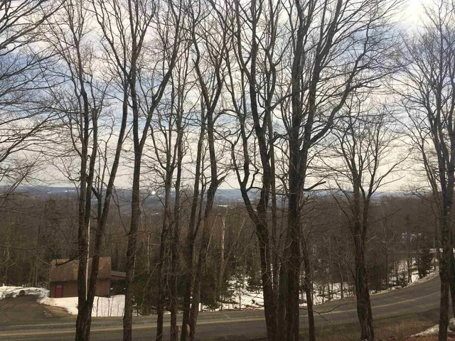 $50,000 | 564 Upper Dam Road, Unit M564 & M565, Wilmington, VT 05363