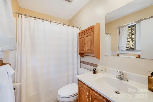 a bathroom with a sink a toilet and shower curtain