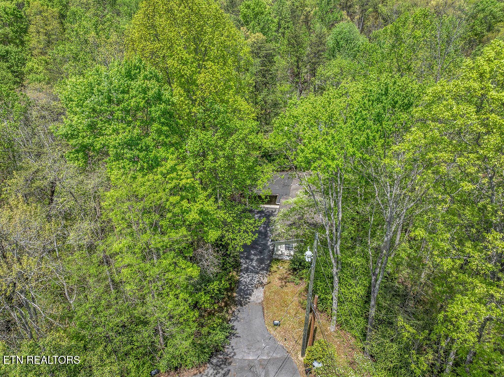 1062 North Ridge Place Sevierville, TN 37876 - Photo 35 of 37 Gallery Image 35