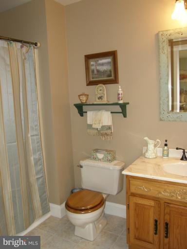 8567 Monumental Mills Road Rixeyville, VA 22737 - Photo 22 of 30 Bath (Master)