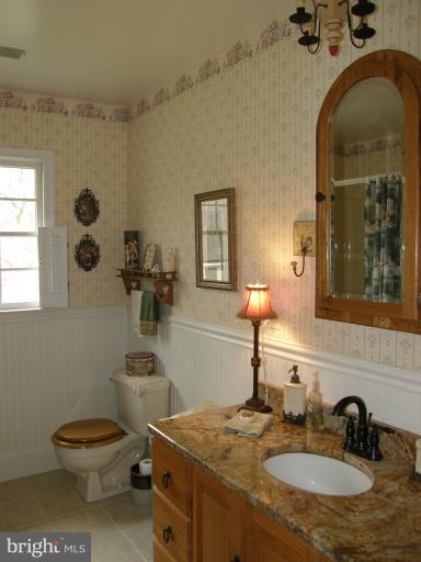 8567 Monumental Mills Road Rixeyville, VA 22737 - Photo 4 of 30 Bath