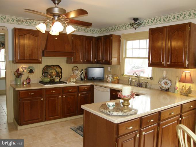 8567 Monumental Mills Road Rixeyville, VA 22737 - Photo 5 of 30 Kitchen