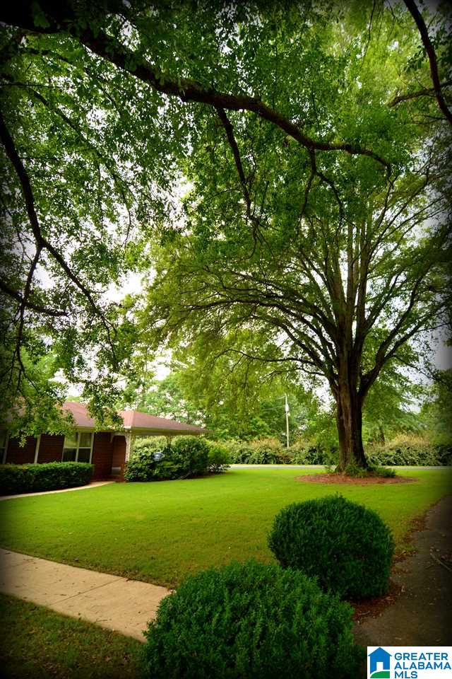 128 Rabbit Branch Road Cropwell, AL 35054 - Photo 4 of 50